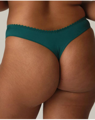 Tanga Springdale 0663475 JAS PrimaDonna