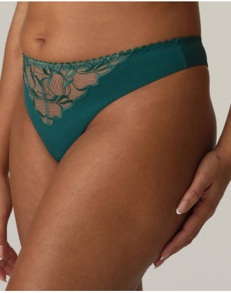 Tanga Springdale 0663475 JAS PrimaDonna