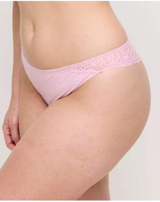 Tanga Salerno 0663530 SNR PrimaDonna